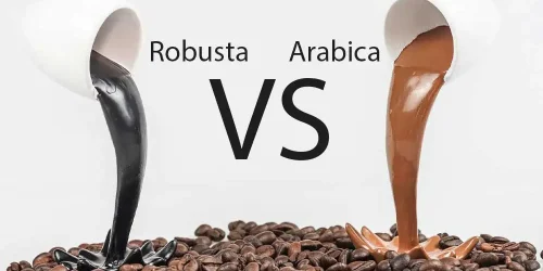 Robusta-vs-Arabica